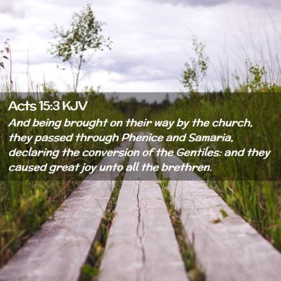 Picture 02 - Acts 15:3 KJV - And being brought on their way by the church, - Bible Verse Picture
