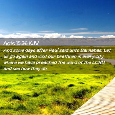 Picture 02 - Acts 15:36 KJV - And some days after Paul said unto Barnabas, Let - Bible Verse Picture