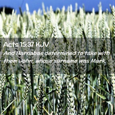 Picture 02 - Acts 15:37 KJV - And Barnabas determined to take with them John, - Bible Verse Picture
