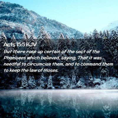 Picture 02 - Acts 15:5 KJV - But there rose up certain of the sect of the - Bible Verse Picture