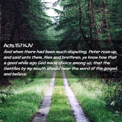 Picture 02 - Acts 15:7 KJV - And when there had been much disputing, Peter - Bible Verse Picture