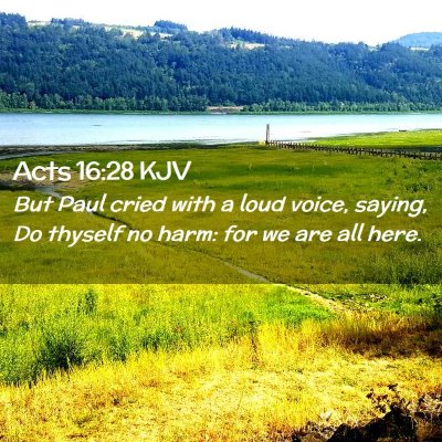 Picture 02 - Acts 16:28 KJV - But Paul cried with a loud voice, saying, Do - Bible Verse Picture