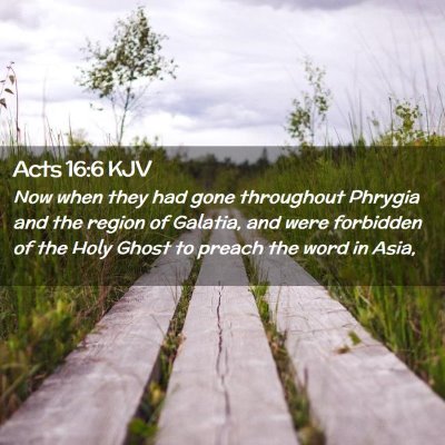 Picture 02 - Acts 16:6 KJV - Now when they had gone throughout Phrygia and the - Bible Verse Picture