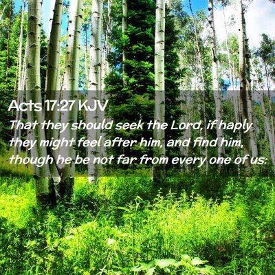 Picture 02 - Acts 17:27 KJV - That they should seek the Lord, if haply they - Bible Verse Picture