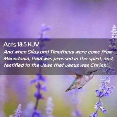 Picture 02 - Acts 18:5 KJV - And when Silas and Timotheus were come from - Bible Verse Picture
