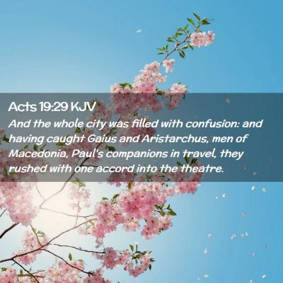 Picture 02 - Acts 19:29 KJV - And the whole city was filled with confusion: and - Bible Verse Picture