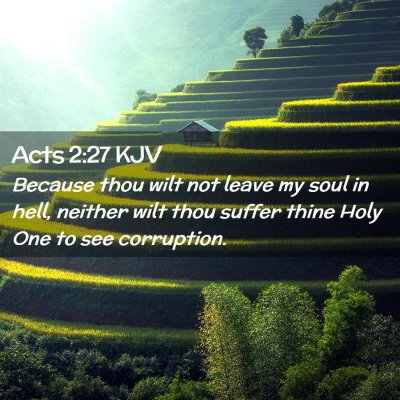 Picture 02 - Acts 2:27 KJV - Because thou wilt not leave my soul in hell, - Bible Verse Picture