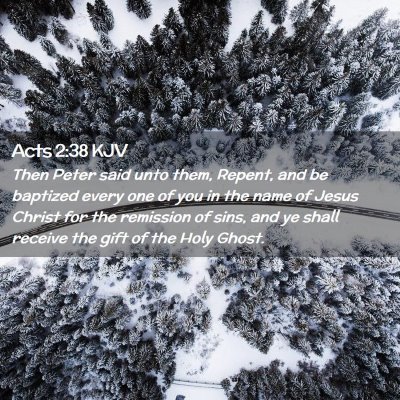 Picture 02 - Acts 2:38 KJV - Then Peter said unto them, Repent, and be - Bible Verse Picture