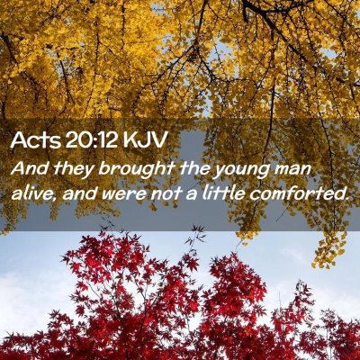 Picture 02 - Acts 20:12 KJV - And they brought the young man alive, and were - Bible Verse Picture