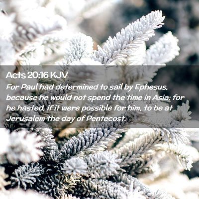 Picture 02 - Acts 20:16 KJV - For Paul had determined to sail by Ephesus, - Bible Verse Picture