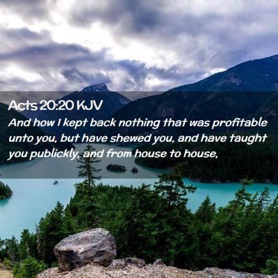 Picture 02 - Acts 20:20 KJV - And how I kept back nothing that was profitable - Bible Verse Picture