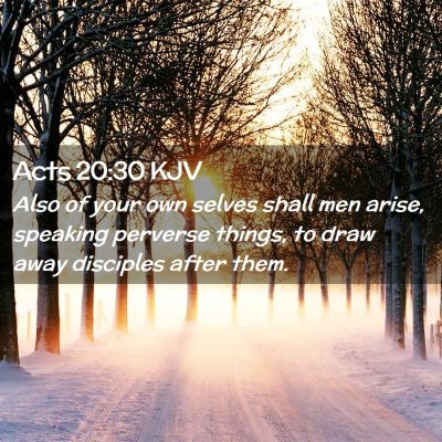 Picture 02 - Acts 20:30 KJV - Also of your own selves shall men arise, speaking - Bible Verse Picture