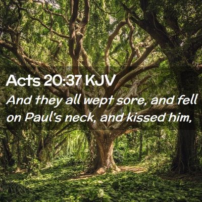 Picture 02 - Acts 20:37 KJV - And they all wept sore, and fell on Paul's neck, - Bible Verse Picture