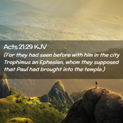 Picture 02 - Acts 21:29 KJV - (For they had seen before with him in the city - Bible Verse Picture