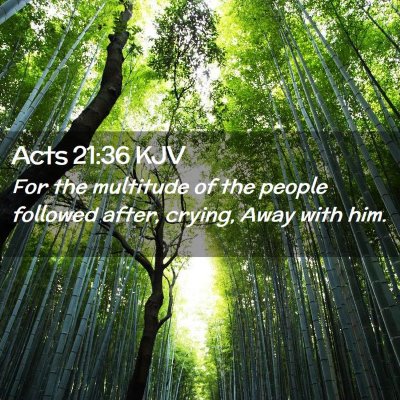Picture 02 - Acts 21:36 KJV - For the multitude of the people followed after, - Bible Verse Picture