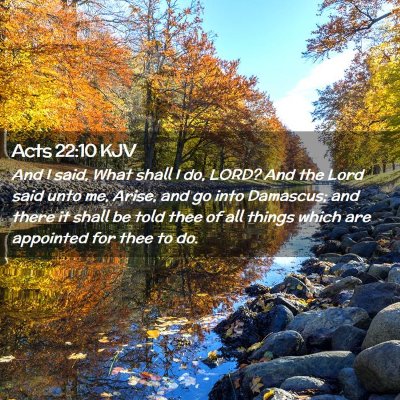Picture 02 - Acts 22:10 KJV - And I said, What shall I do, LORD? And the Lord - Bible Verse Picture