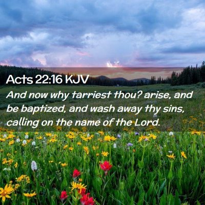 Picture 02 - Acts 22:16 KJV - And now why tarriest thou? arise, and be - Bible Verse Picture
