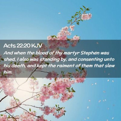 Picture 02 - Acts 22:20 KJV - And when the blood of thy martyr Stephen was - Bible Verse Picture