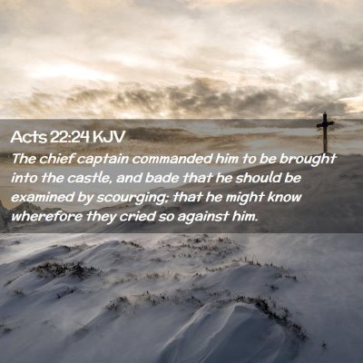 Picture 02 - Acts 22:24 KJV - The chief captain commanded him to be brought - Bible Verse Picture