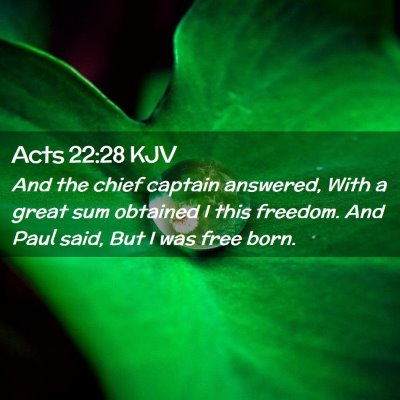 Picture 02 - Acts 22:28 KJV - And the chief captain answered, With a great sum - Bible Verse Picture