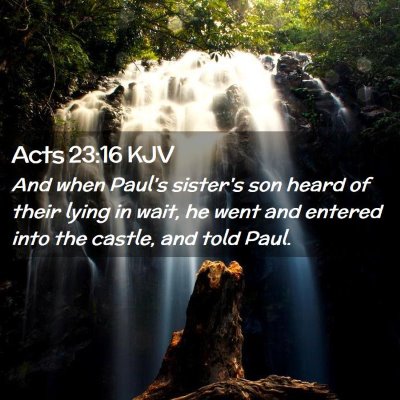 Picture 02 - Acts 23:16 KJV - And when Paul's sister's son heard of their lying - Bible Verse Picture