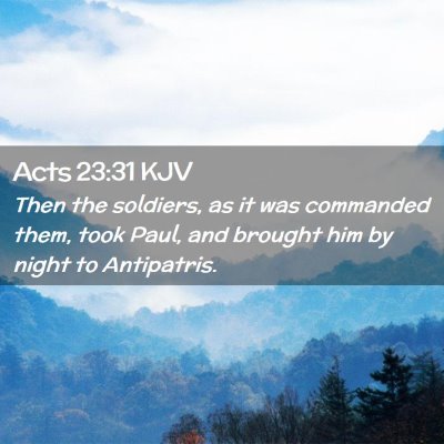 Picture 02 - Acts 23:31 KJV - Then the soldiers, as it was commanded them, took - Bible Verse Picture