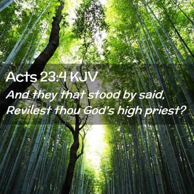 Picture 02 - Acts 23:4 KJV - And they that stood by said, Revilest thou God's - Bible Verse Picture