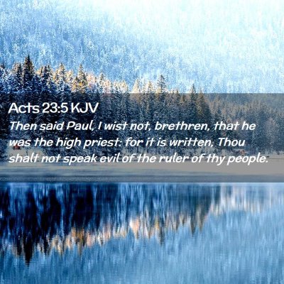 Picture 02 - Acts 23:5 KJV - Then said Paul, I wist not, brethren, that he was - Bible Verse Picture