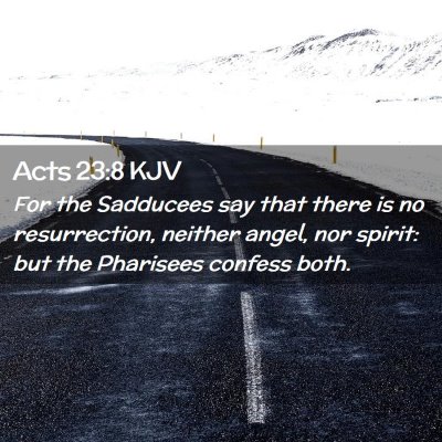 Picture 02 - Acts 23:8 KJV - For the Sadducees say that there is no - Bible Verse Picture