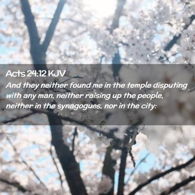 Picture 02 - Acts 24:12 KJV - And they neither found me in the temple disputing - Bible Verse Picture