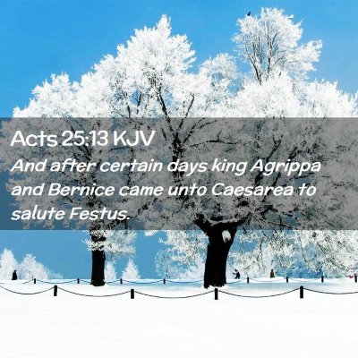 Picture 02 - Acts 25:13 KJV - And after certain days king Agrippa and Bernice - Bible Verse Picture