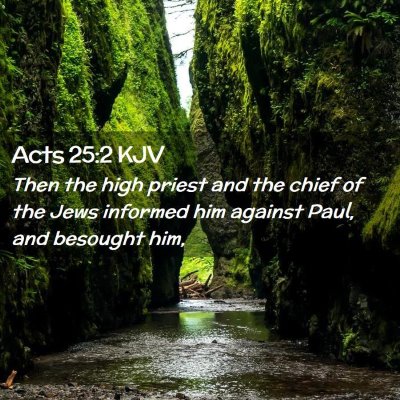 Picture 02 - Acts 25:2 KJV - Then the high priest and the chief of the Jews - Bible Verse Picture