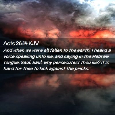 Picture 02 - Acts 26:14 KJV - And when we were all fallen to the earth, I heard - Bible Verse Picture