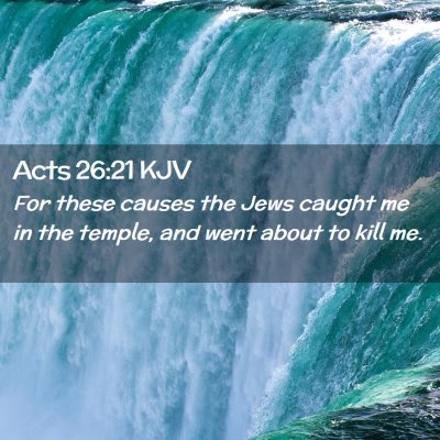 Picture 02 - Acts 26:21 KJV - For these causes the Jews caught me in the - Bible Verse Picture