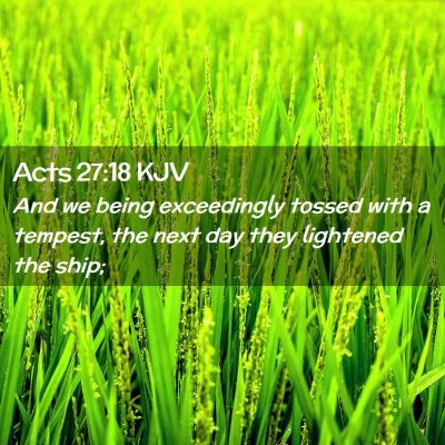 Picture 02 - Acts 27:18 KJV - And we being exceedingly tossed with a tempest, - Bible Verse Picture