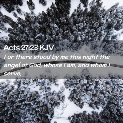 Picture 02 - Acts 27:23 KJV - For there stood by me this night the angel of - Bible Verse Picture