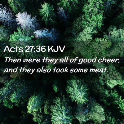 Picture 02 - Acts 27:36 KJV - Then were they all of good cheer, and they also - Bible Verse Picture