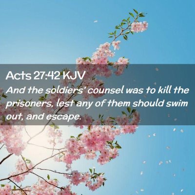 Picture 02 - Acts 27:42 KJV - And the soldiers' counsel was to kill the - Bible Verse Picture