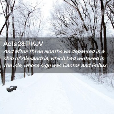 Picture 02 - Acts 28:11 KJV - And after three months we departed in a ship of - Bible Verse Picture