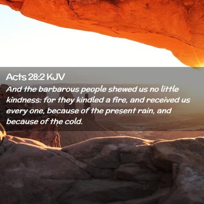 Picture 02 - Acts 28:2 KJV - And the barbarous people shewed us no little - Bible Verse Picture