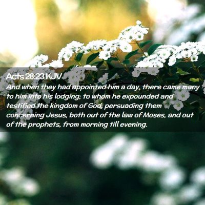 Picture 02 - Acts 28:23 KJV - And when they had appointed him a day, there came - Bible Verse Picture