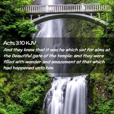 Picture 02 - Acts 3:10 KJV - And they knew that it was he which sat for alms - Bible Verse Picture