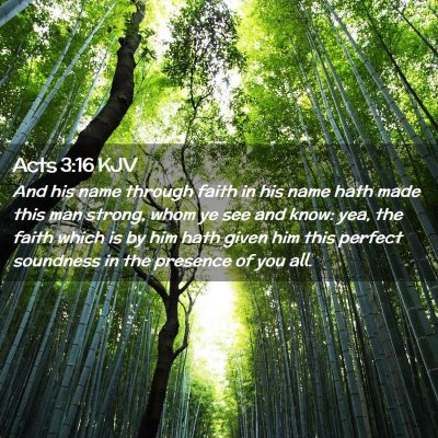 Picture 02 - Acts 3:16 KJV - And his name through faith in his name hath made - Bible Verse Picture