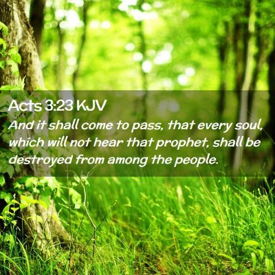 Picture 02 - Acts 3:23 KJV - And it shall come to pass, that every soul, which - Bible Verse Picture