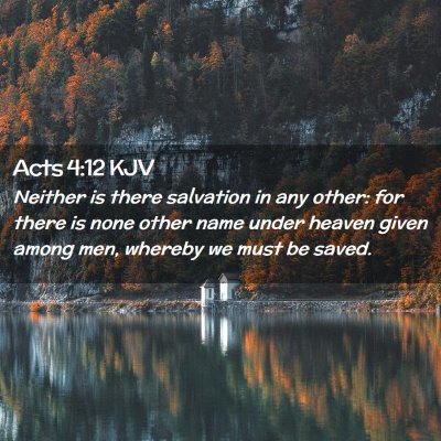 Picture 02 - Acts 4:12 KJV - Neither is there salvation in any other: for - Bible Verse Picture