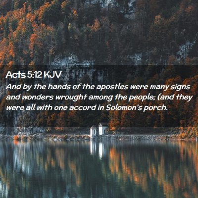 Picture 02 - Acts 5:12 KJV - And by the hands of the apostles were many signs - Bible Verse Picture