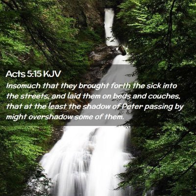 Picture 02 - Acts 5:15 KJV - Insomuch that they brought forth the sick into - Bible Verse Picture