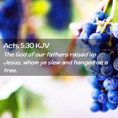 Picture 02 - Acts 5:30 KJV - The God of our fathers raised up Jesus, whom ye - Bible Verse Picture