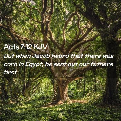 Picture 02 - Acts 7:12 KJV - But when Jacob heard that there was corn in - Bible Verse Picture