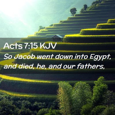 Picture 02 - Acts 7:15 KJV - So Jacob went down into Egypt, and died, he, and - Bible Verse Picture